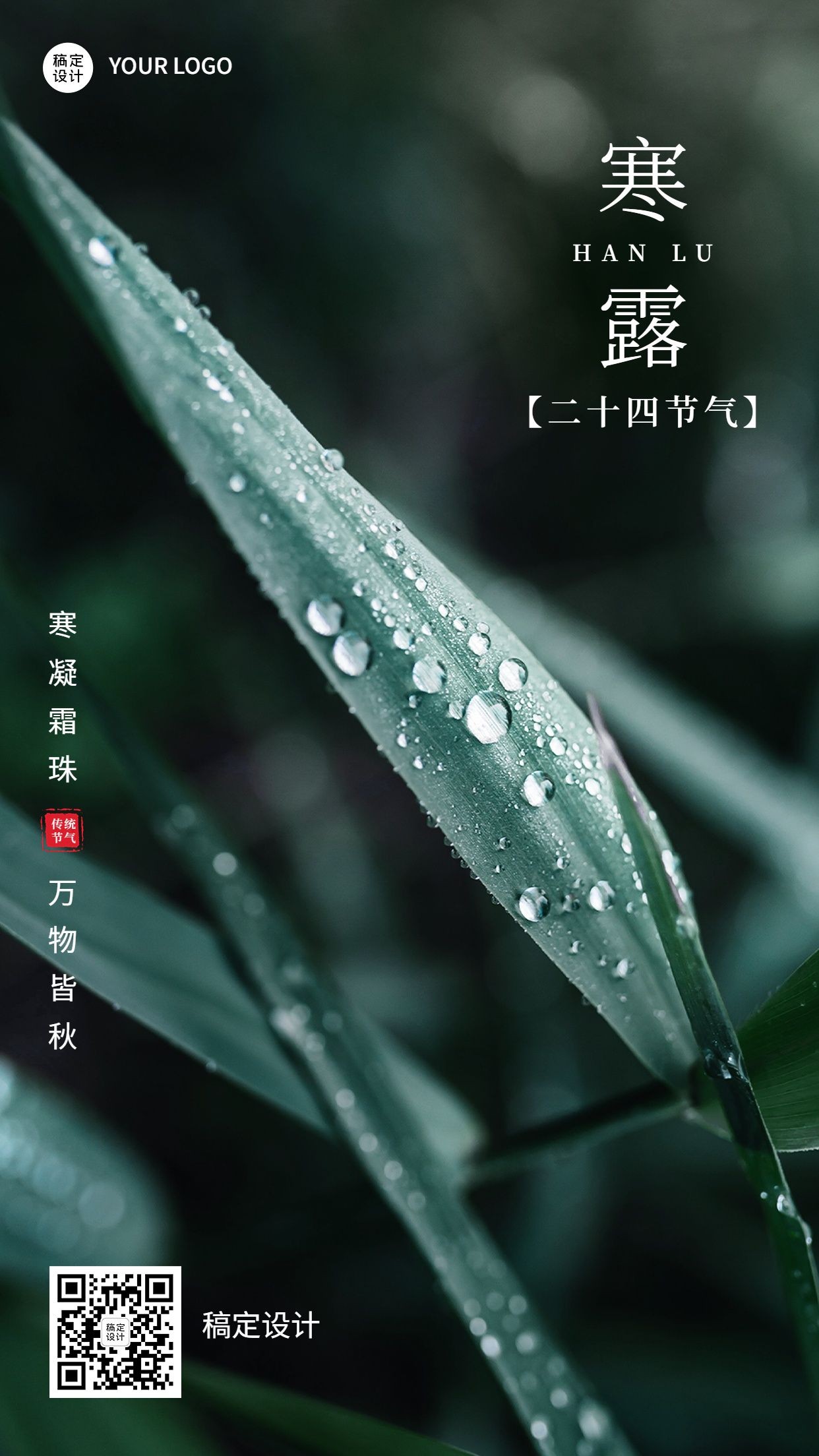 寒露节气祝福实景排版手机海报