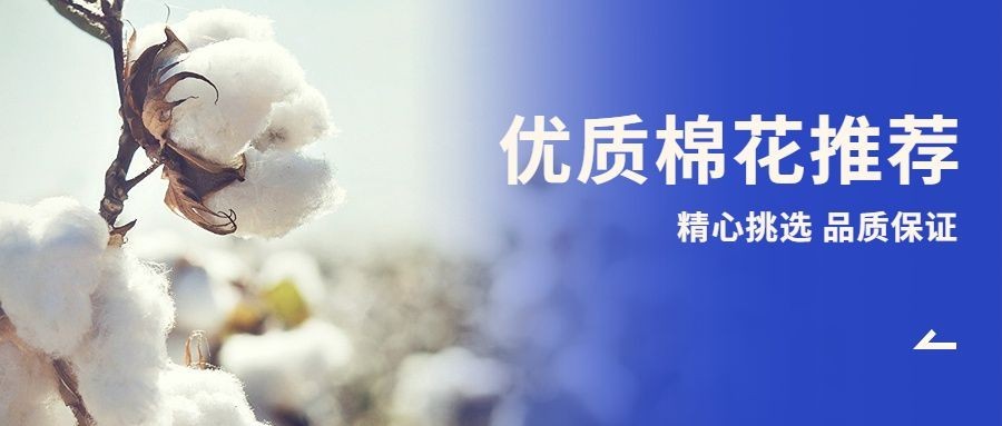 新疆国产棉花电商促销公众号首图预览效果