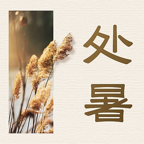 处暑节气祝福问候实景公众号次图