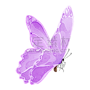 水彩-小昆虫蝴蝶元素
