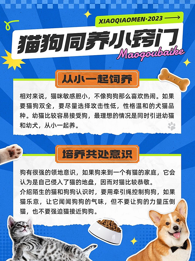 宠物知识攻略科普小红书配图