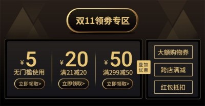 双十一优惠券