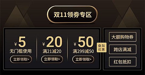双十一优惠券