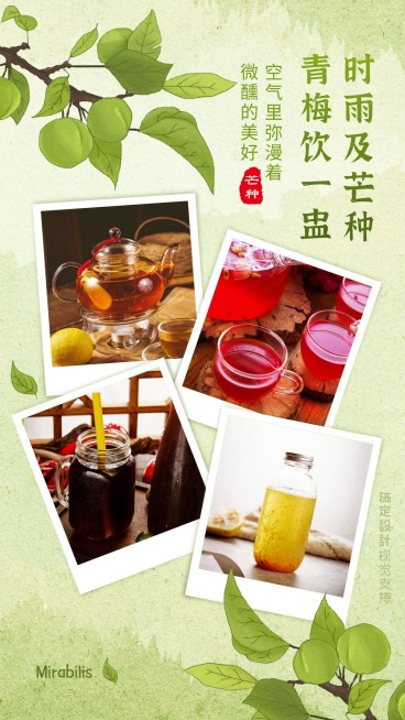 芒种产品展示晒照营销海报预览效果