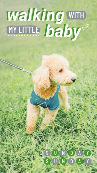 Cute Circle Pattern Grassland Runnging Dog Pet Photo Instagram Story