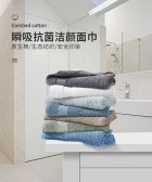 模板缩略图