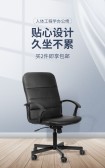 模板缩略图