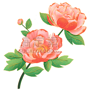 中国风-植物花卉贴纸-牡丹