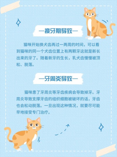 宠物知识科普小红书配图