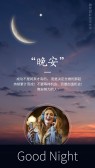 模板缩略图