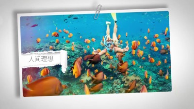 快门拍照效果图文展示AE模板