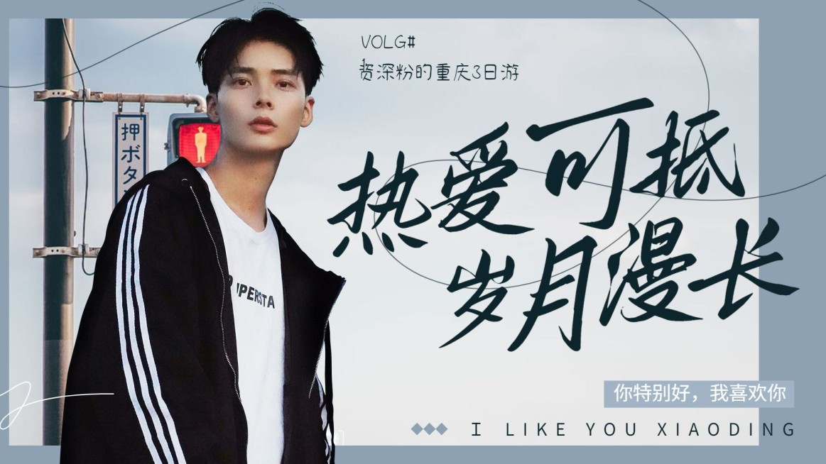 简约文艺清新饭圈横版视频封面明星应援预览效果