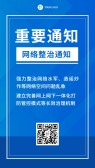 模板缩略图