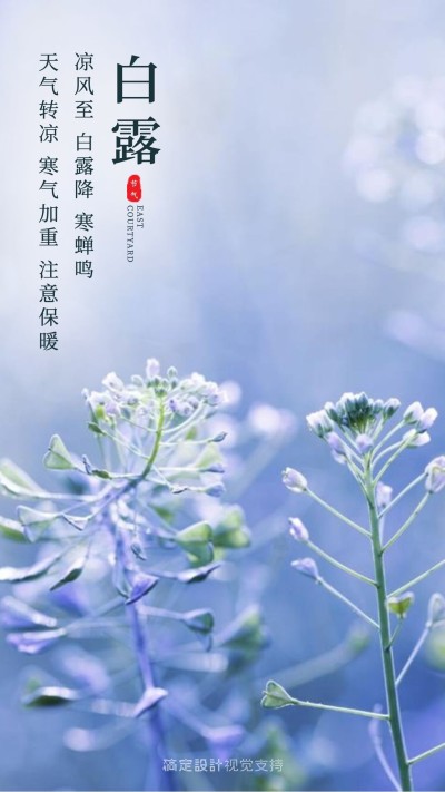 传统节气白露打卡问候正能量