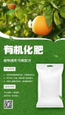 模板缩略图