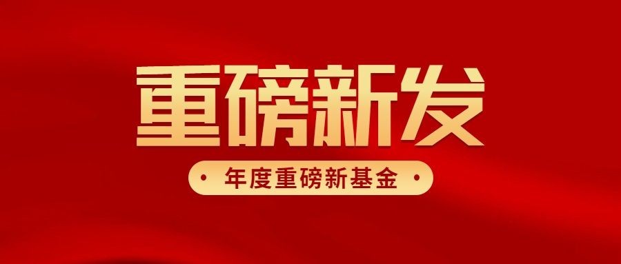 金融保险公示公告喜庆公众号首图预览效果
