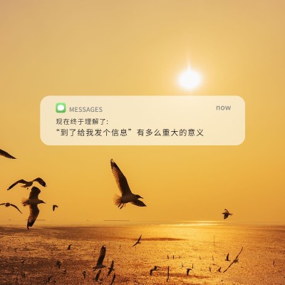 天空海鸥短信界面祝福简约风plog模板