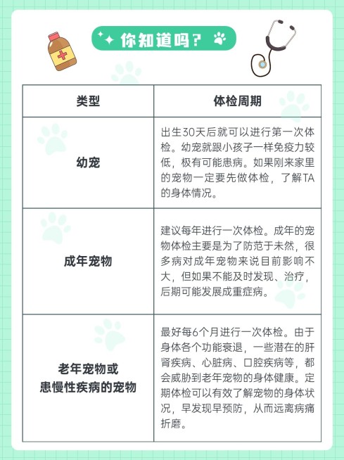 宠物知识科普小红书配图预览效果