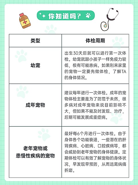 宠物知识科普小红书配图