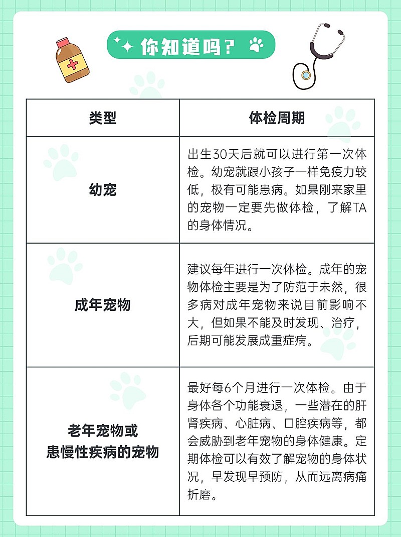 宠物知识科普小红书配图