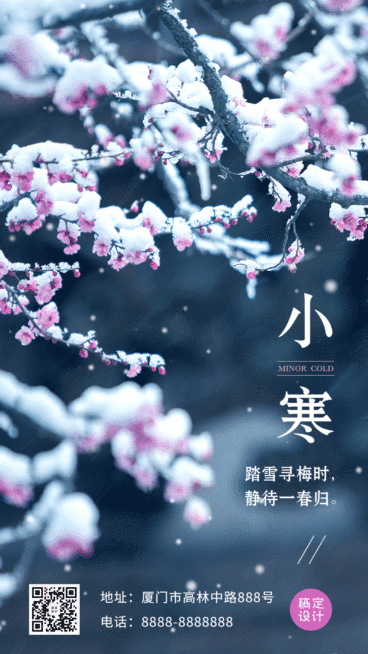 小寒节气冬季雪景梅花飘雪动态海报预览效果