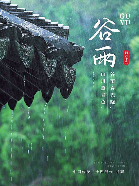 节日谷雨节气祝福中国风plog模板