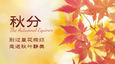 通用秋分节气实景排版广告banner