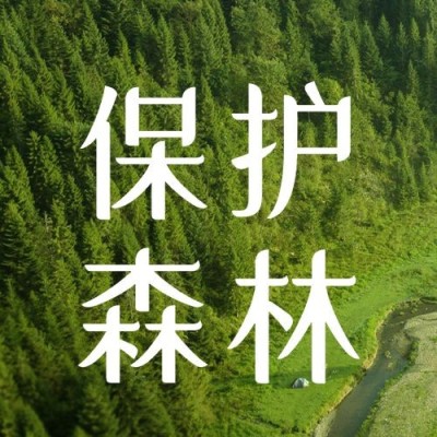 世界森林日节日宣传公众号次图