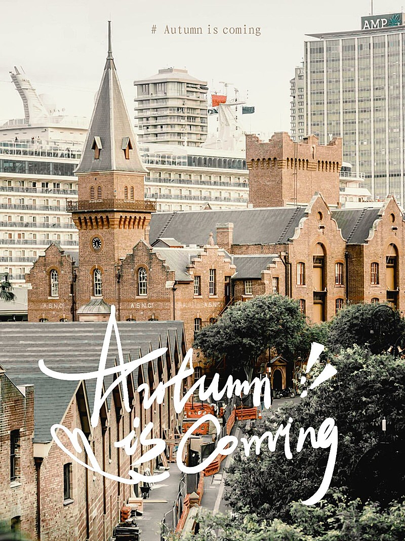 秋天风景晒照-通用-plog