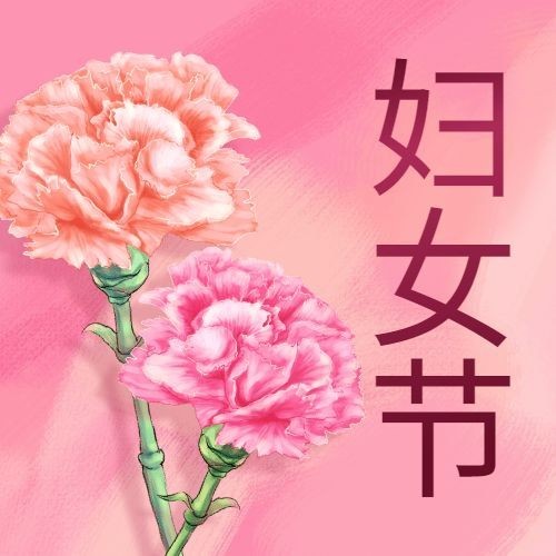 38妇女节祝福康乃馨公众号次图预览效果