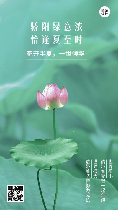 6.21夏至实景风荷花节气全屏祝福