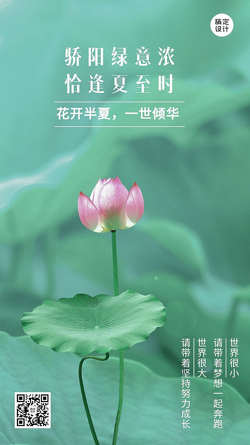 6.21夏至实景风荷花节气全屏祝福