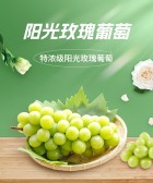 模板缩略图