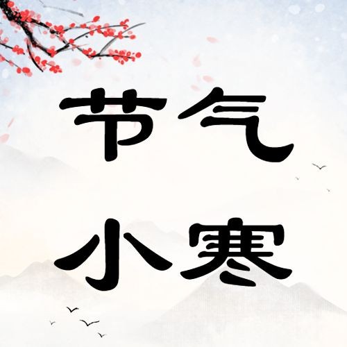 小寒节气祝福冬日飘雪插画公众号次图预览效果