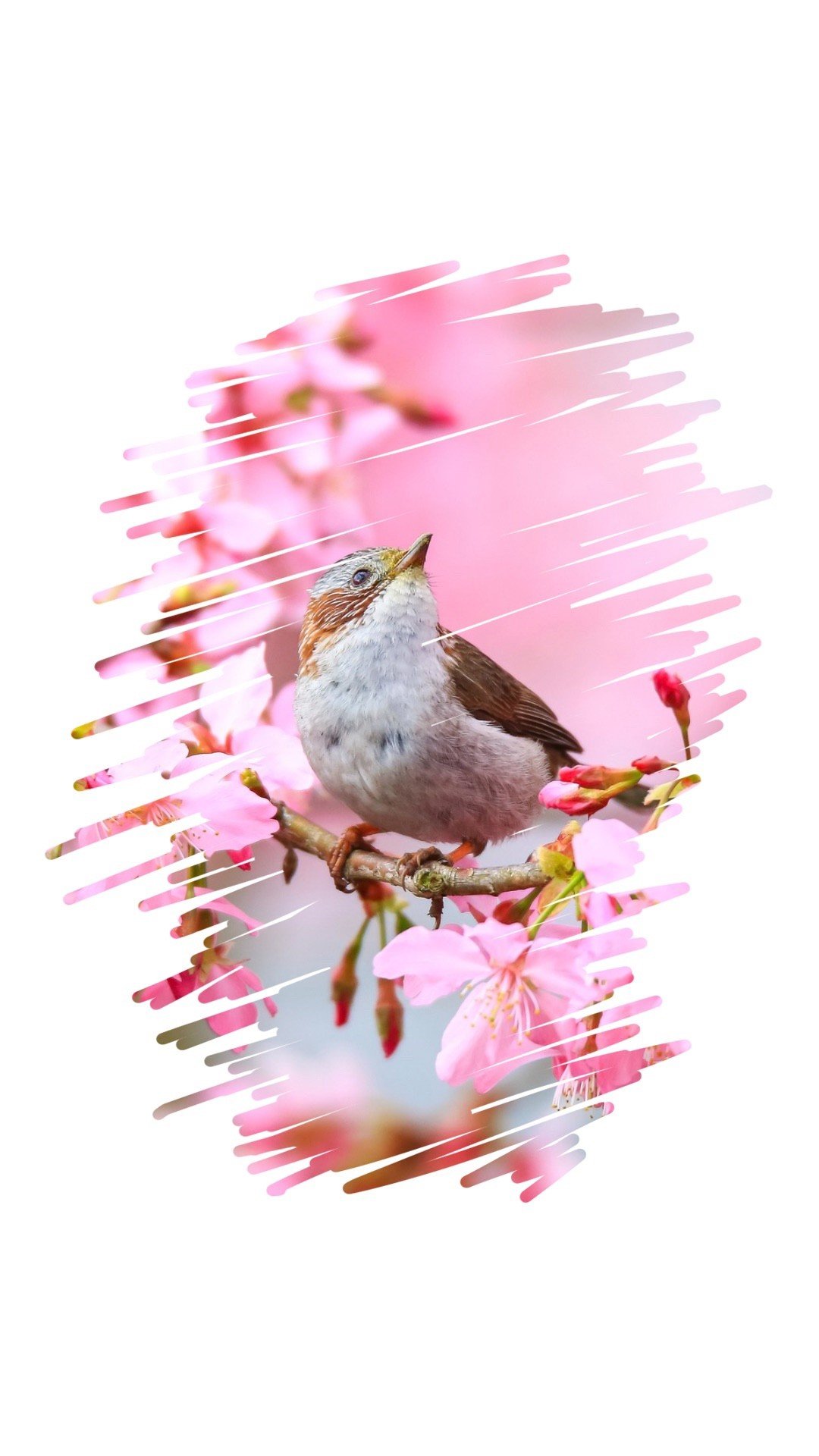 Creative Brush Stroke Photo Collage Layout Instagram Story