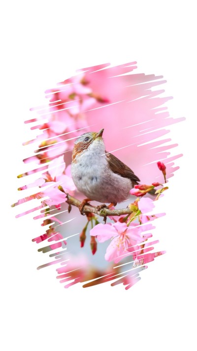 Creative Brush Stroke Photo Collage Layout Instagram Story