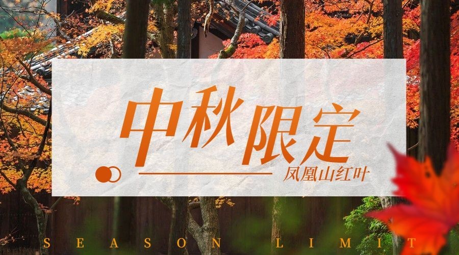 中秋旅游营销实景简约海报banner预览效果