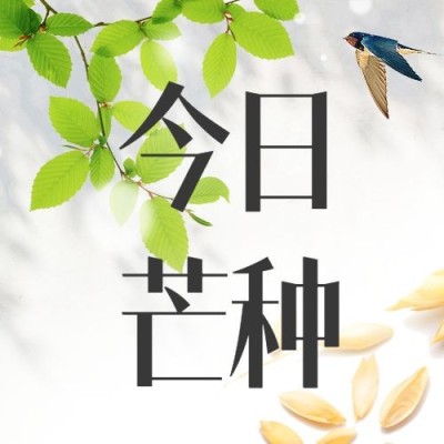 芒种节气合成实景公众号次图