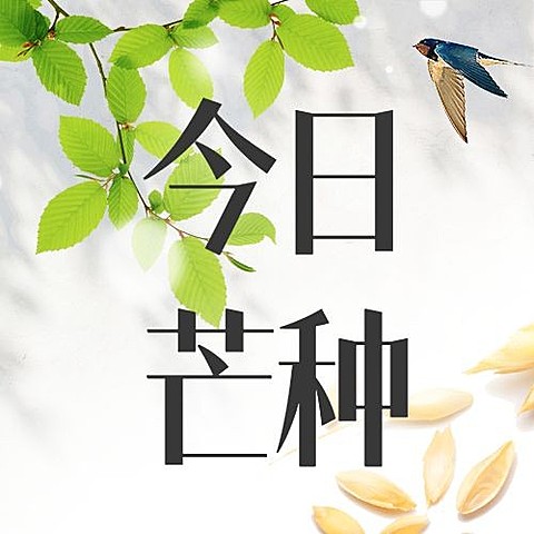 芒种节气合成实景公众号次图