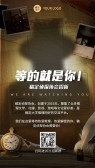模板缩略图