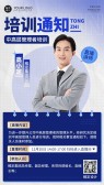 模板缩略图