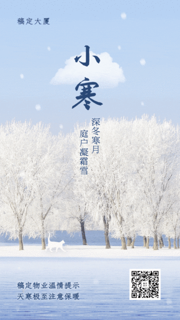 二十四节气大寒冬天实景唯美日系动态海报预览效果