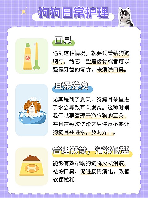 宠物知识科普小红书配图