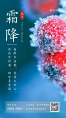 模板缩略图