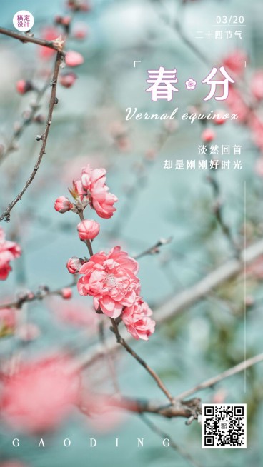 春分节气祝福实景手机海报预览效果