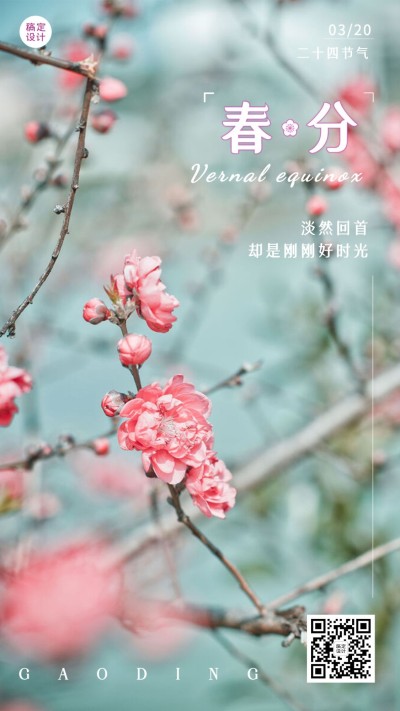 春分节气祝福实景手机海报