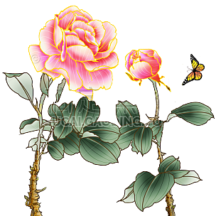 水彩风-中国风植物花卉贴纸-牡丹