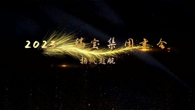 企业年会开场创意奢华横版视频
