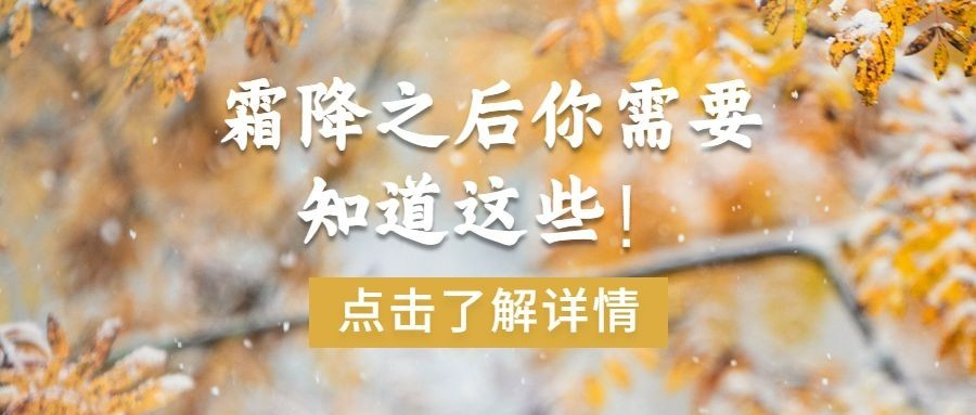 霜降节气祝福实景秋季公众号首图
