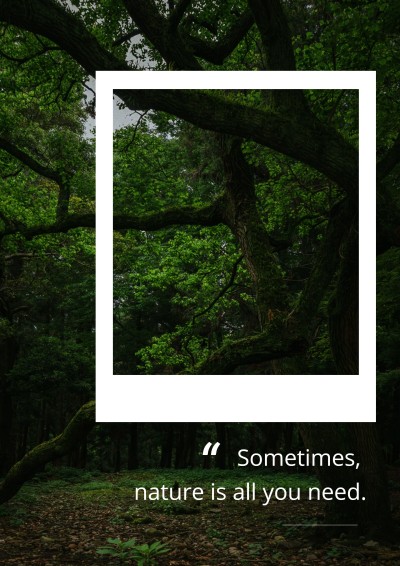 Nature Forest View Polaroid Motivational Inspirational Quotes Poster